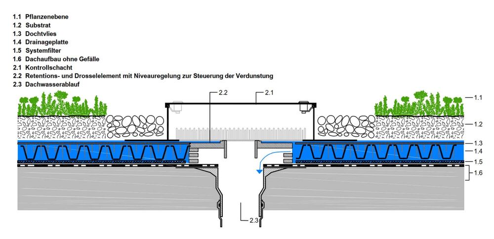 Bild 3: Schema des Evapotranspirations-Gründachs mit Wasseranstau und Drossel. (Bilder: Daniela Hochradl, Contec, SFG)